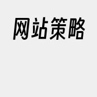 网站策略