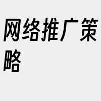 网络推广策略