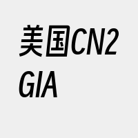 美国CN2GIA