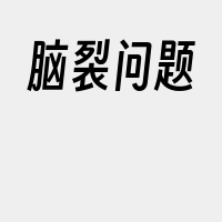 脑裂问题