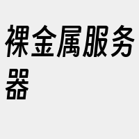 裸金属服务器