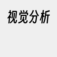 视觉分析