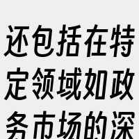 还包括在特定领域如政务市场的深耕以及不断