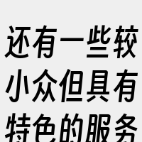 还有一些较小众但具有特色的服务供应商