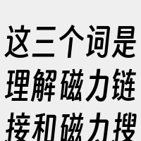 这三个词是理解磁力链接和磁力搜索原理的关