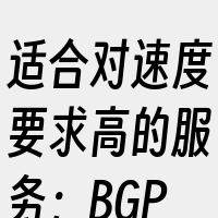 适合对速度要求高的服务；BGP线路则能自
