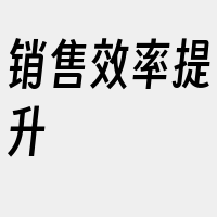 销售效率提升