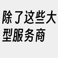 除了这些大型服务商