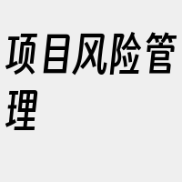 项目风险管理