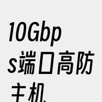 10Gbps端口高防主机
