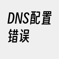 DNS配置错误