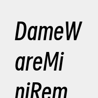 DameWareMiniRemoteCo