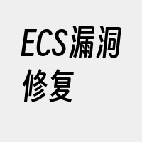 ECS漏洞修复