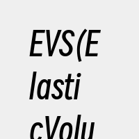 EVS(ElasticVolumeSer