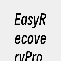 EasyRecoveryPro软件