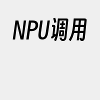 NPU调用