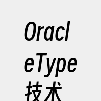 OracleType技术