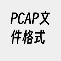 PCAP文件格式