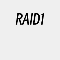 RAID1