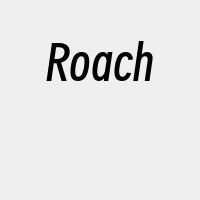 Roach