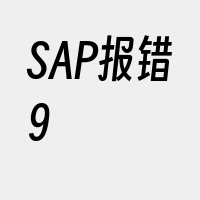 SAP报错9