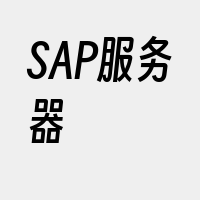 SAP服务器