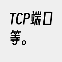 TCP端口等。