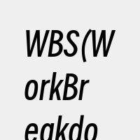 WBS(WorkBreakdownStr