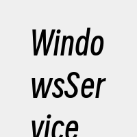 WindowsService