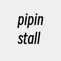 pipinstall