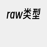 raw类型