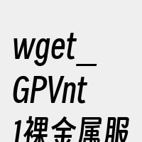 wget_GPVnt1裸金属服务器