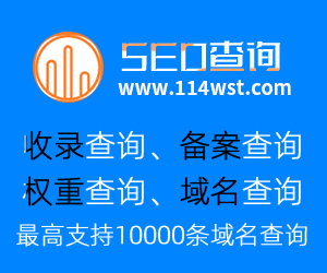 SEO批量查询