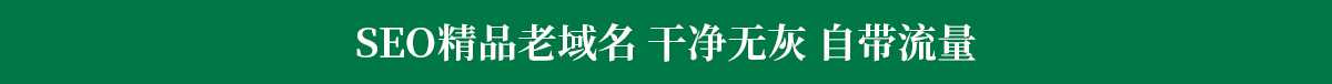 SEO精品域名